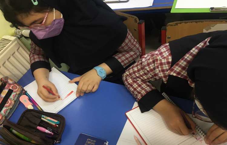 ادامه کار حرفه ای گل با مداد رنگی ( آموزش طراحی ساقه و برگ ، آموزش سایه روشن حرفه ای گلبرگ ها ) 4