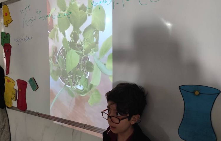 ارائه تحقیق علوم توسط دانش‌آموز امیر حسین شیشه گر 1