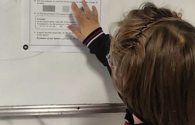 ارائه دانش‌اموزان درباره‌ی محیط مربع 3