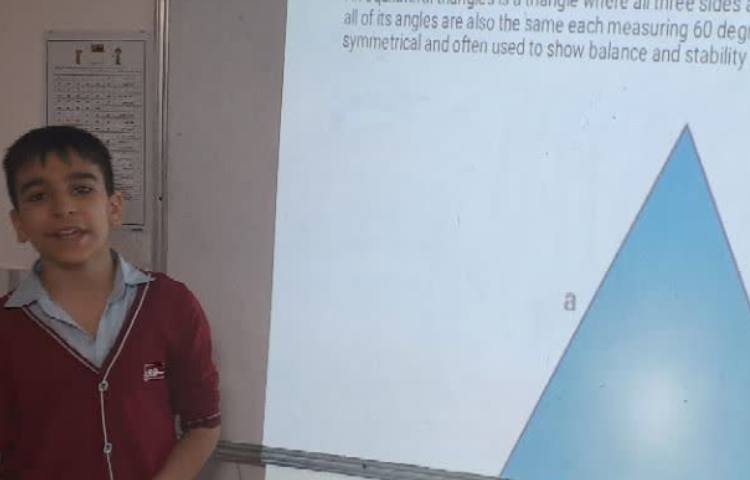 ارائه زبان آموزان در زمینه انواع مثلث ها 2