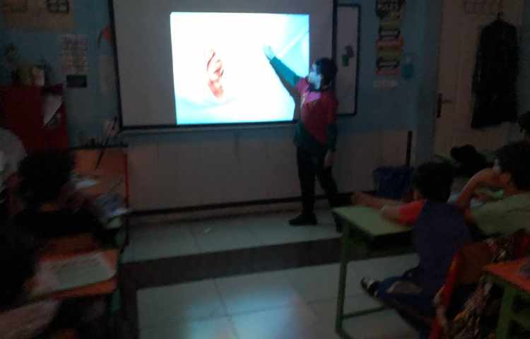 ارائه علوم (گوش) 1