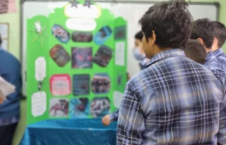 ارائه و توضیح پوسترهای گروه های چهارگانه دانش آموزان دبستان علوی 8