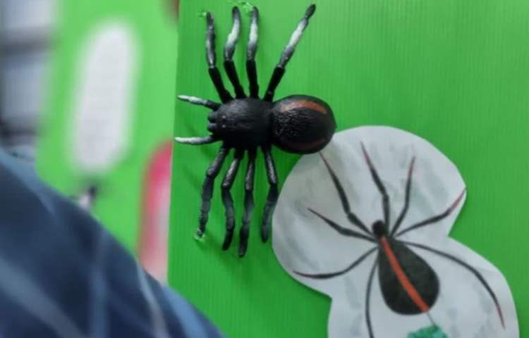 ارائه و توضیح پوسترهای گروه های چهارگانه دانش آموزان دبستان علوی 10