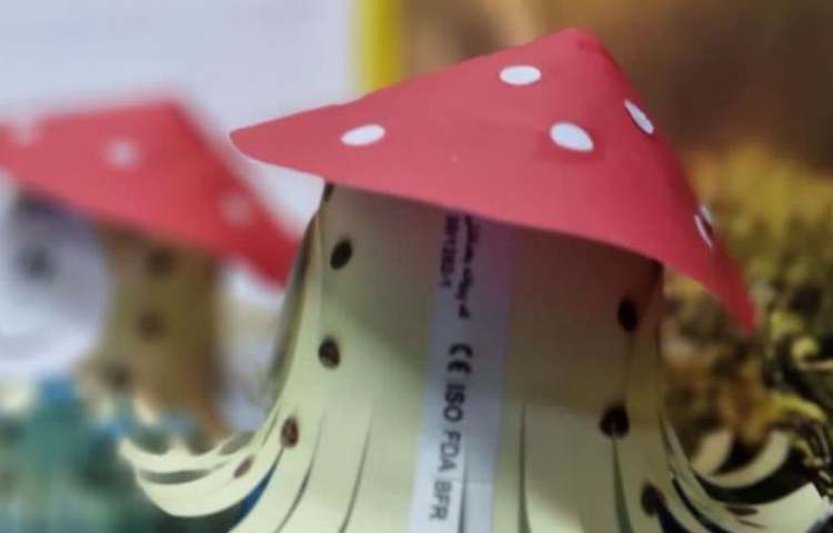 ارائه و توضیح پوسترهای گروه های چهارگانه دانش آموزان دبستان علوی 11