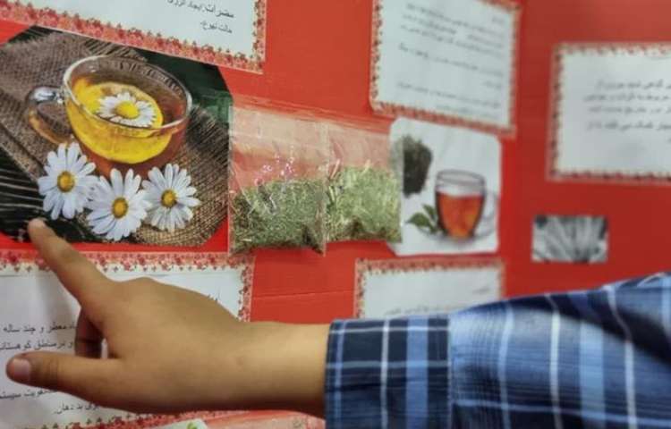 ارائه و توضیح پوسترهای گروه های چهارگانه دانش آموزان دبستان علوی 12