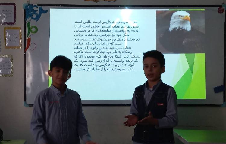 ارائه پژوهش توسط اعضای گروهای زرد و قرمز