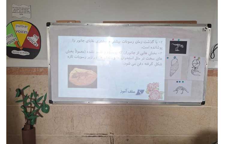 ارائه کنفرانس علوم مبحث فسیل ها 1