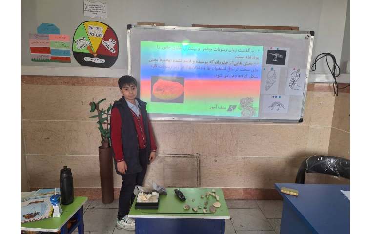 ارائه کنفرانس علوم مبحث فسیل ها 2