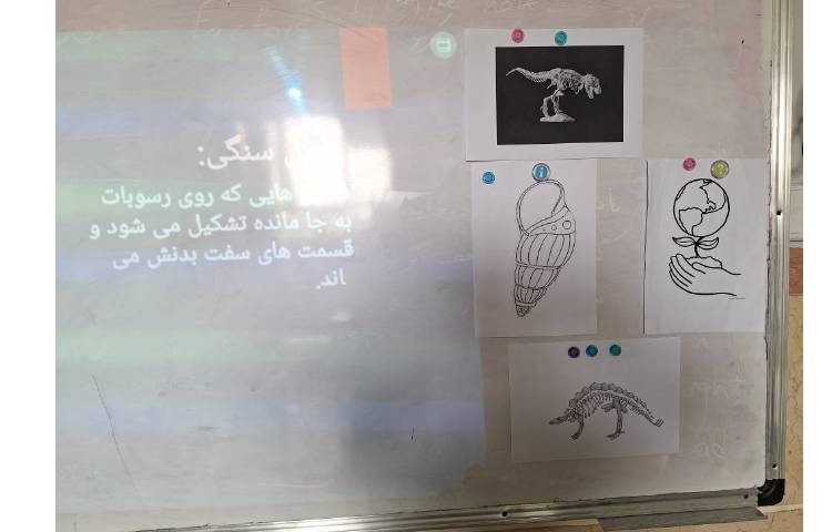 ارائه کنفرانس علوم مبحث فسیل ها 3