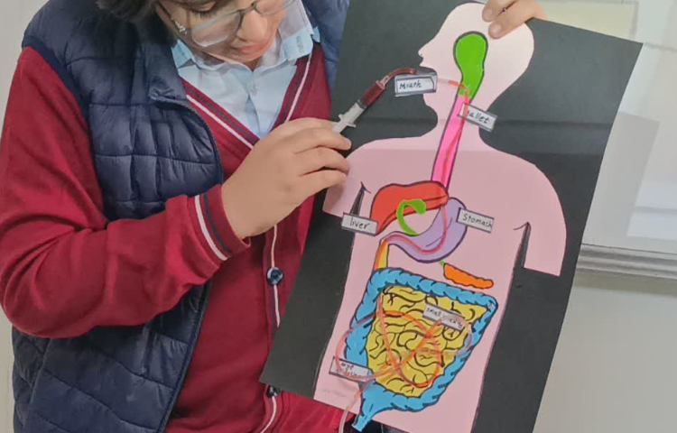 ارائه‌ی برخی از دانش‌آموزان در زنگ Science 1