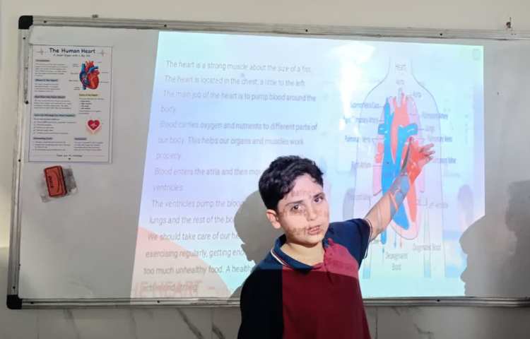 ارائه‌ی زبان‌آموزان در زنگ Science 1