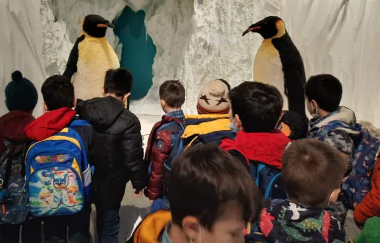 اردوی آکواپارک دانش آموزان اول دبستان 6