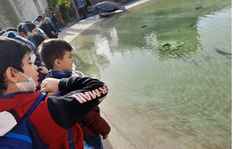 اردوی آکواپارک دانش آموزان اول دبستان 8