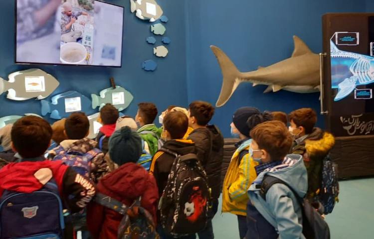 اردوی آکواپارک دانش آموزان اول دبستان