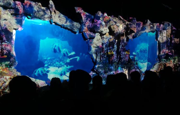 اردوی آکواپارک پایه ششم دبستان 3