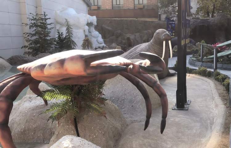 اردوی آکواپارک پایه ششم دبستان 5