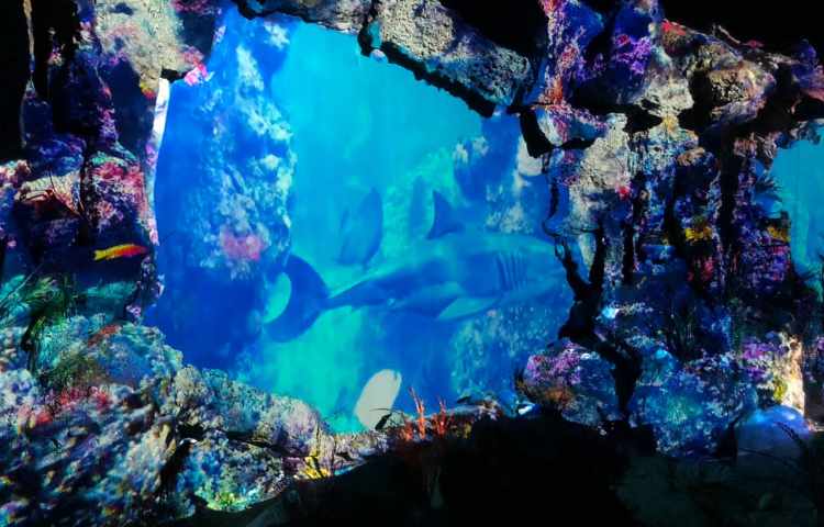 اردوی آکواپارک پایه ششم دبستان 7