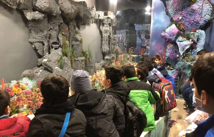 اردوی آکواپارک پایه ششم دبستان 9