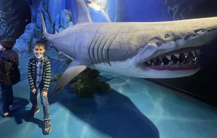 اردوی آکوا پارک دانش آموزان پایه اول 4