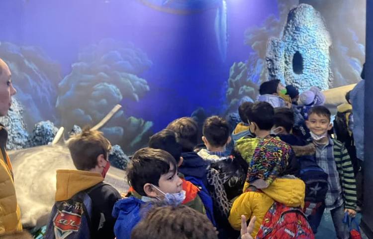 اردوی آکوا پارک دانش آموزان پایه اول 5