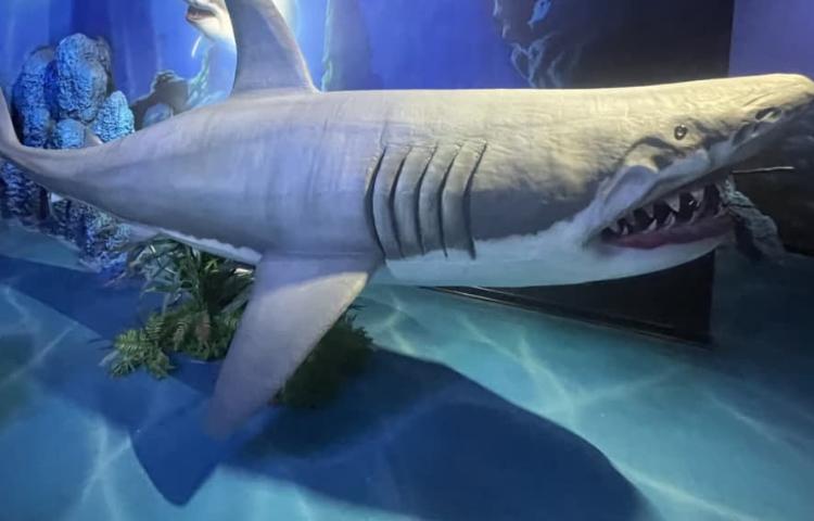 اردوی آکوا پارک دانش آموزان پایه اول 7