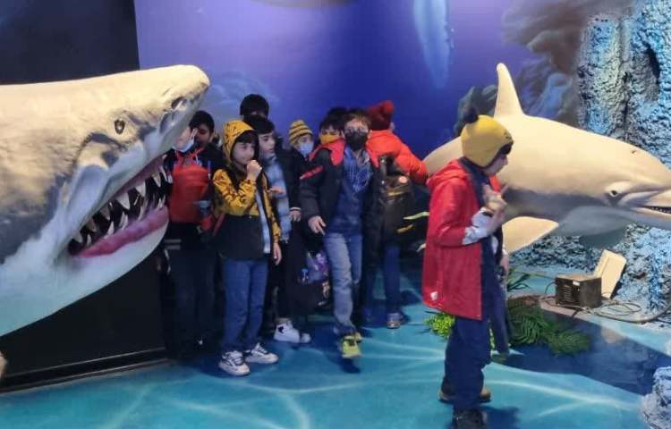 اردوی آکوا پارک پایه سوم دبستان 2