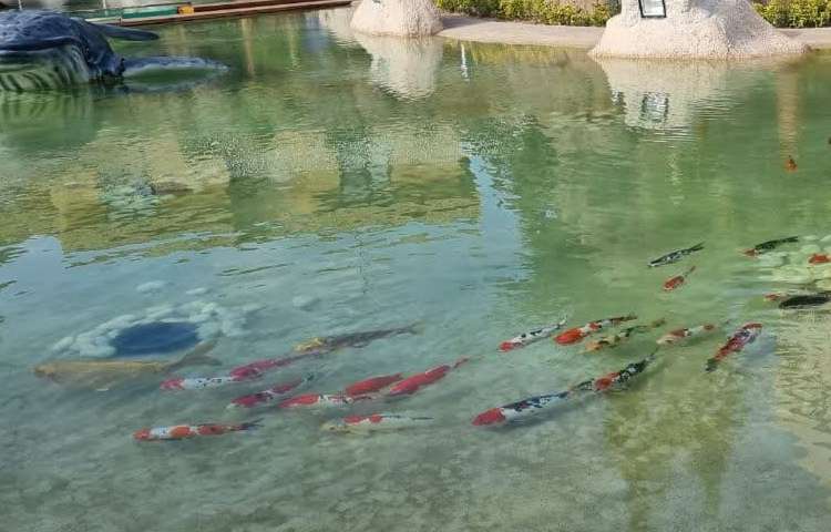 اردوی آکوا پارک پایه سوم دبستان 3