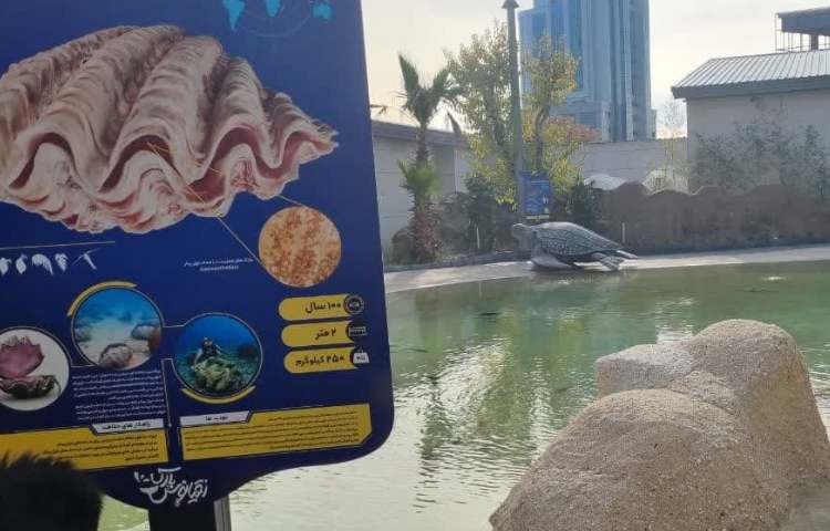 اردوی آکوا پارک پایه سوم دبستان 5