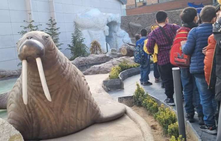 اردوی آکوا پارک پایه سوم دبستان 8