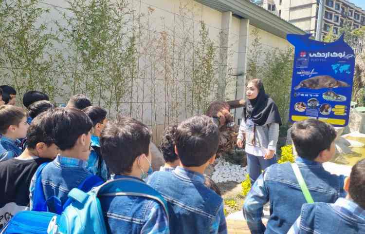 :اردوی اقیانوس پارک، پایه دوم 10