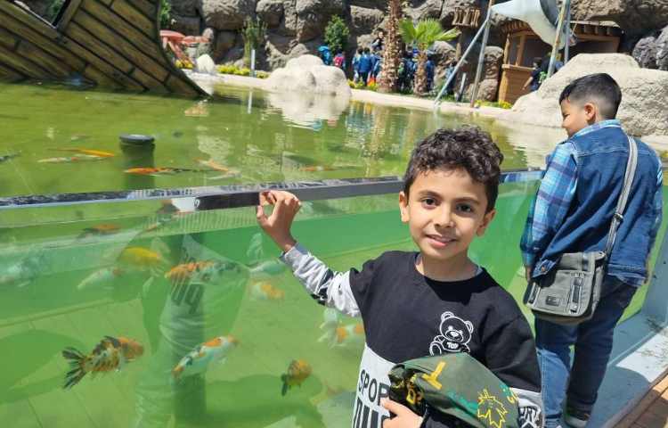 :اردوی اقیانوس پارک، پایه دوم 11