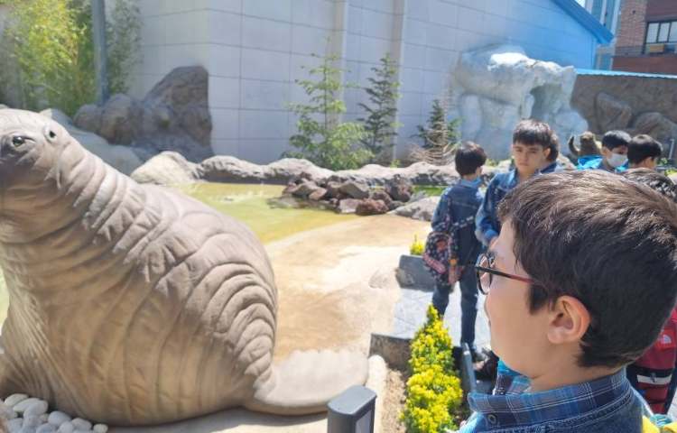 :اردوی اقیانوس پارک، پایه دوم 12