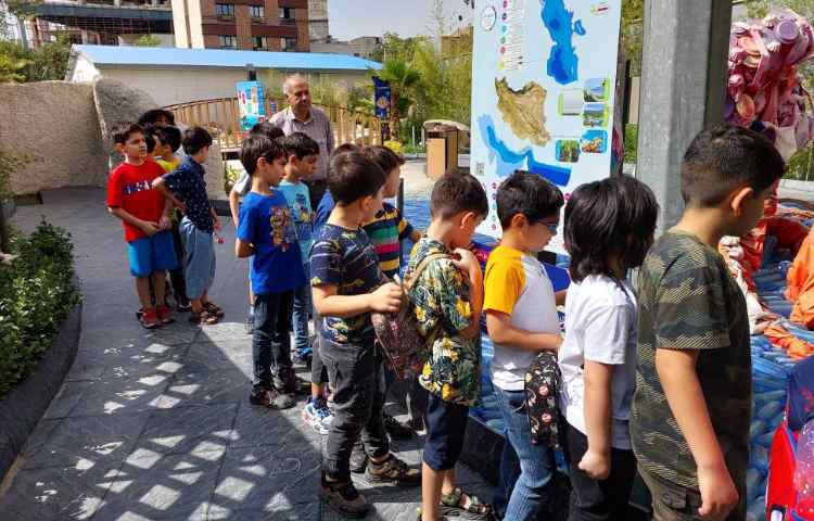 : اردوی اقیانوس پارک، پایه دوم 12