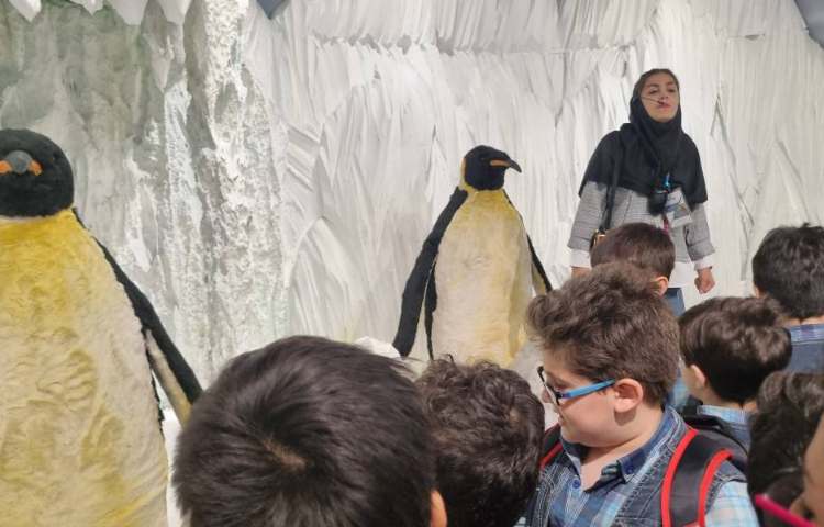 :اردوی اقیانوس پارک، پایه دوم 14