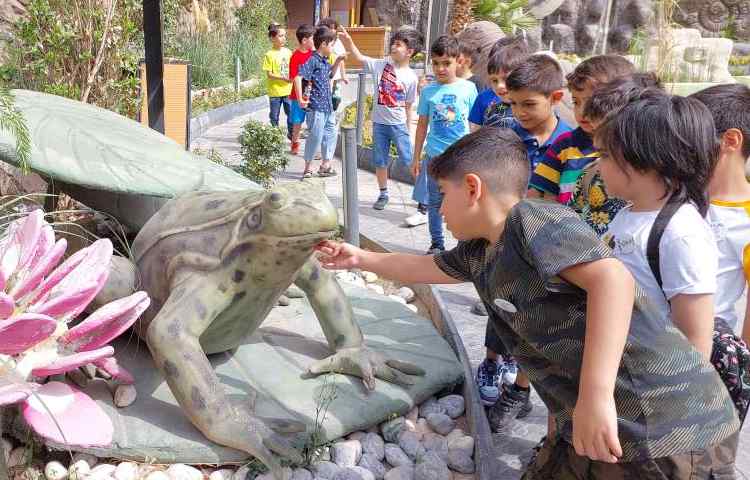 : اردوی اقیانوس پارک، پایه دوم 14