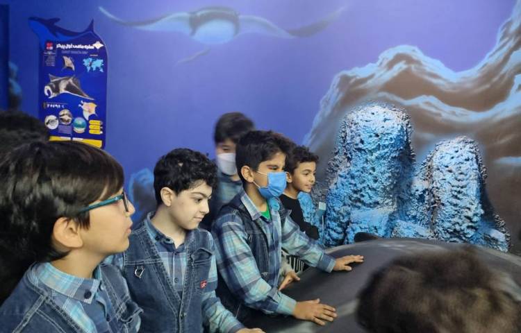 :اردوی اقیانوس پارک، پایه دوم 15