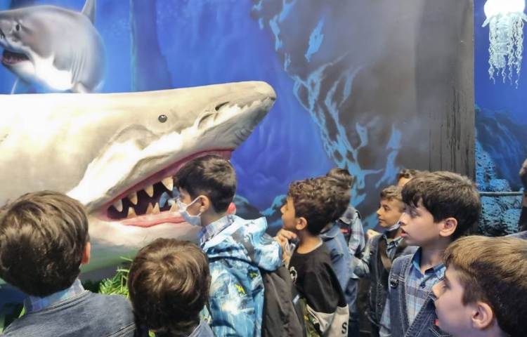 :اردوی اقیانوس پارک، پایه دوم 16