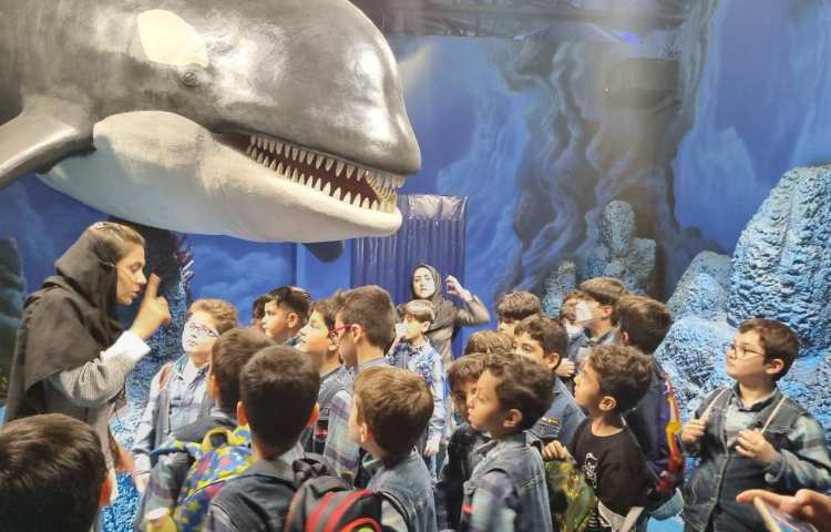 :اردوی اقیانوس پارک، پایه دوم 17