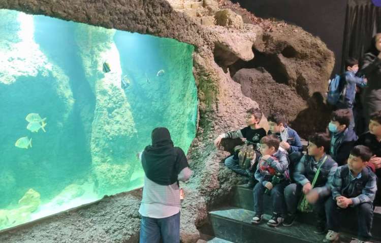 :اردوی اقیانوس پارک، پایه دوم 18