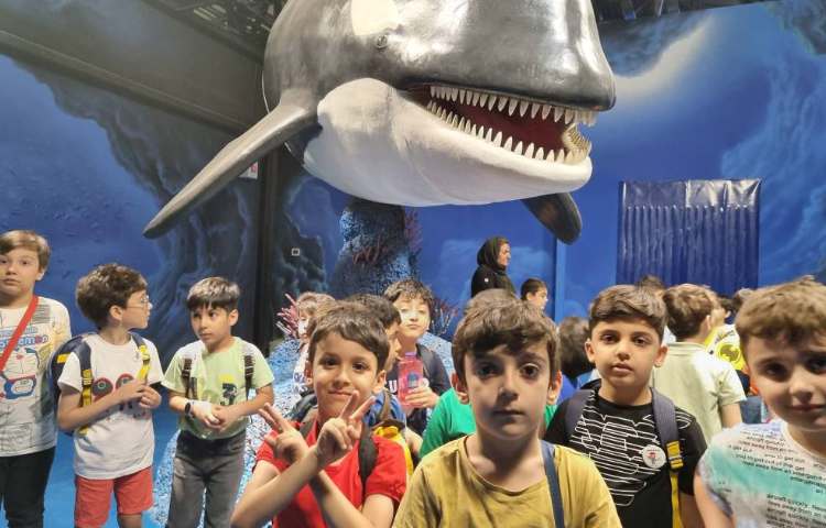 : اردوی اقیانوس پارک، پایه دوم 23