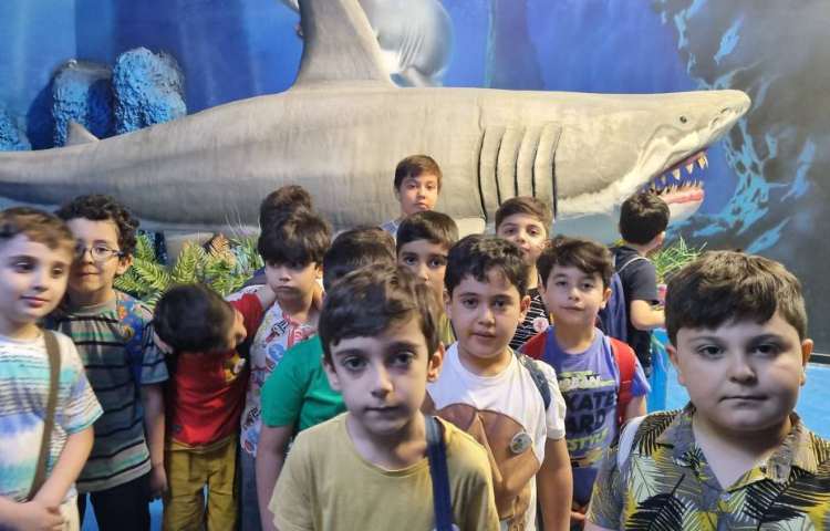 : اردوی اقیانوس پارک، پایه دوم 24