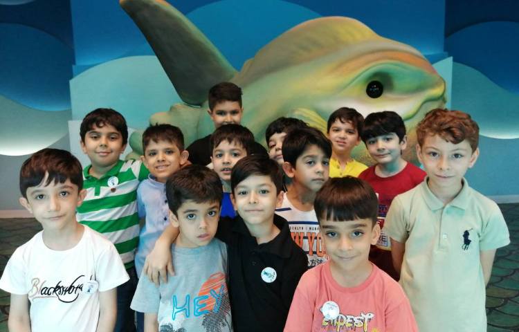 : اردوی اقیانوس پارک، پایه دوم 8