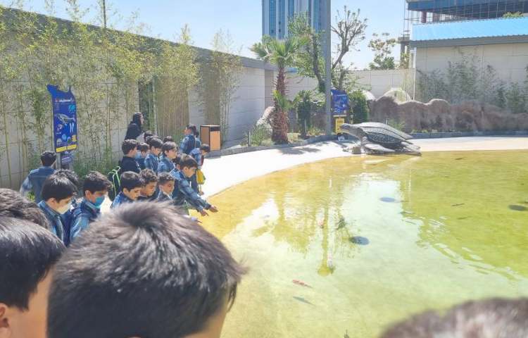 :اردوی اقیانوس پارک، پایه دوم 9