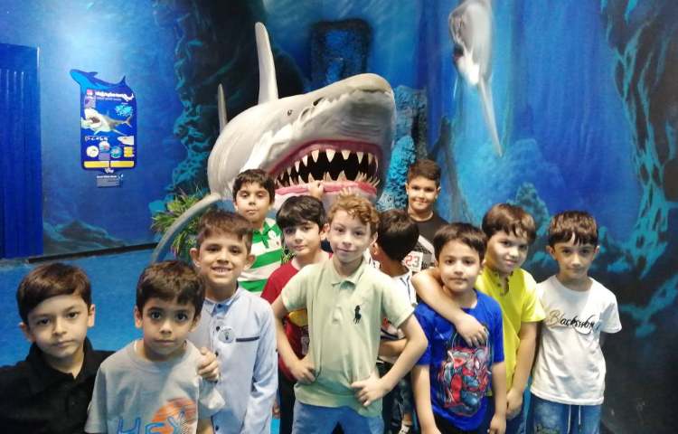 : اردوی اقیانوس پارک، پایه دوم