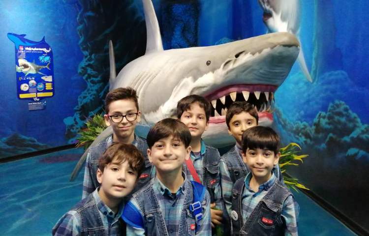 :اردوی اقیانوس پارک، کلاس دریانوردان 2