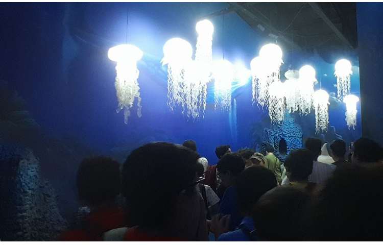 اردوی اقیانوس پارک کلاس ششم 2 18