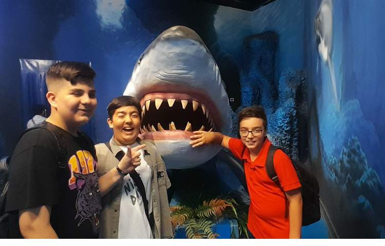 اردوی اقیانوس پارک کلاس ششم 2 2