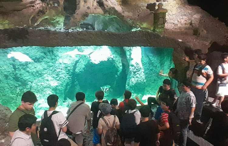 اردوی اقیانوس پارک کلاس ششم 2 4