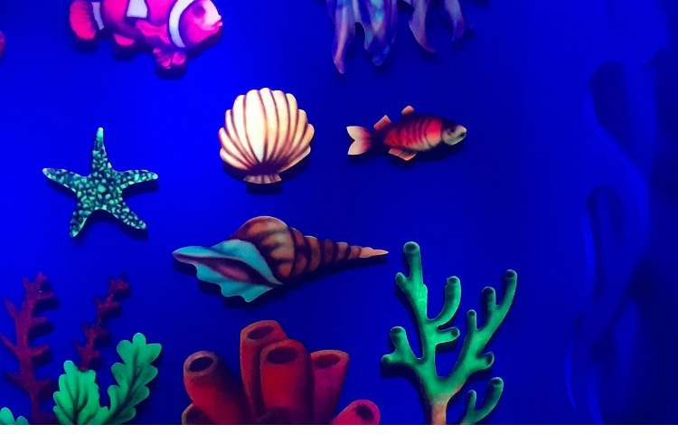 اردوی اقیانوس پارک کلاس ششم 2 5