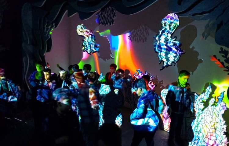 :اردوی اقیانوس پارک، کلاس فضانوردان 2